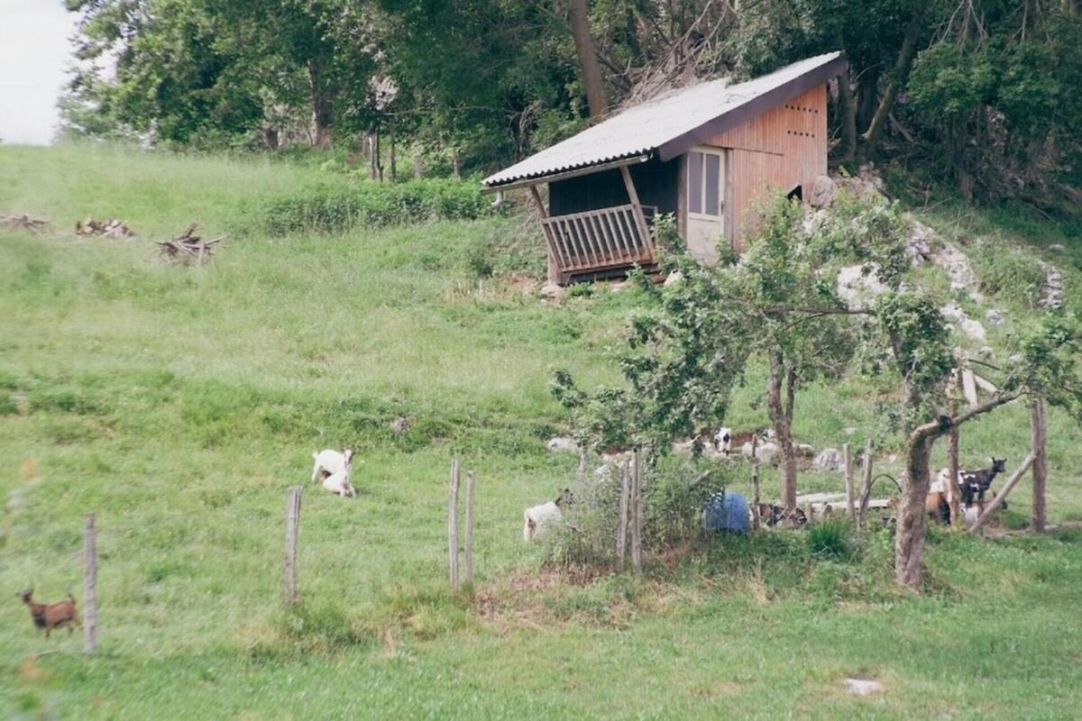 Soca Valley Berghaus Kobarid Exterior photo